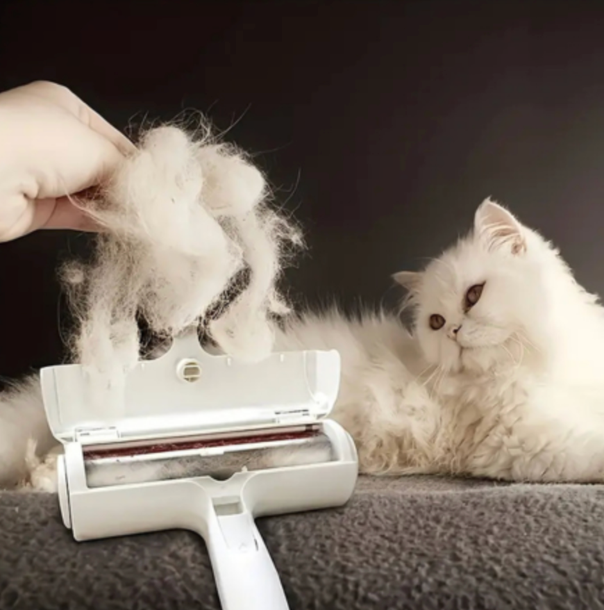 Brosse anti-poils réutilisable pour vêtements et canapé